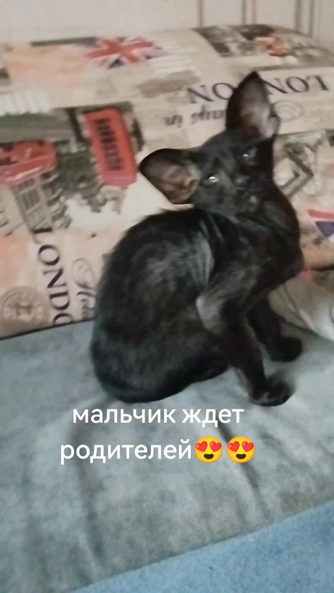 @Наталья