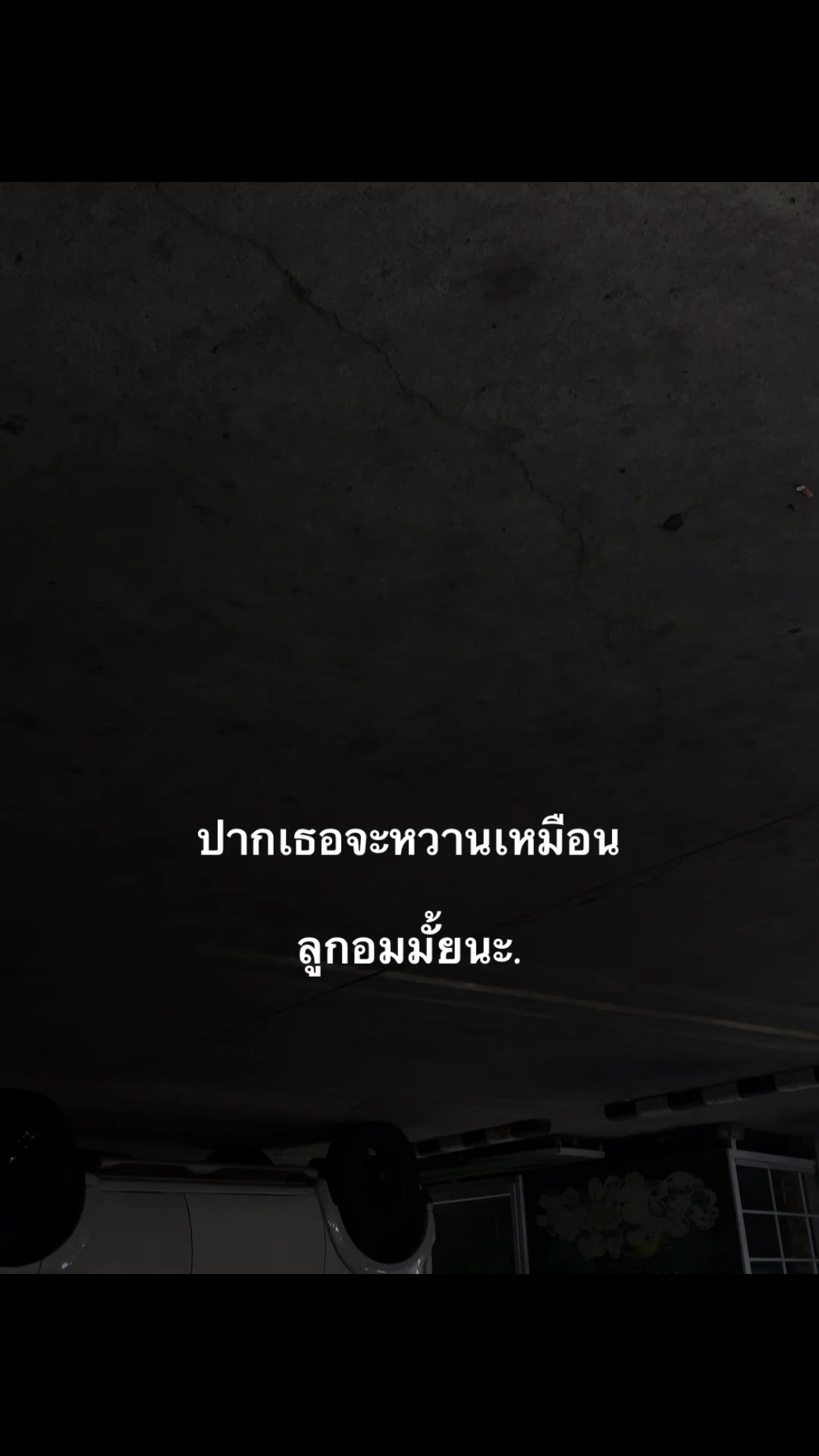 @หมาล่า  (121.9K)