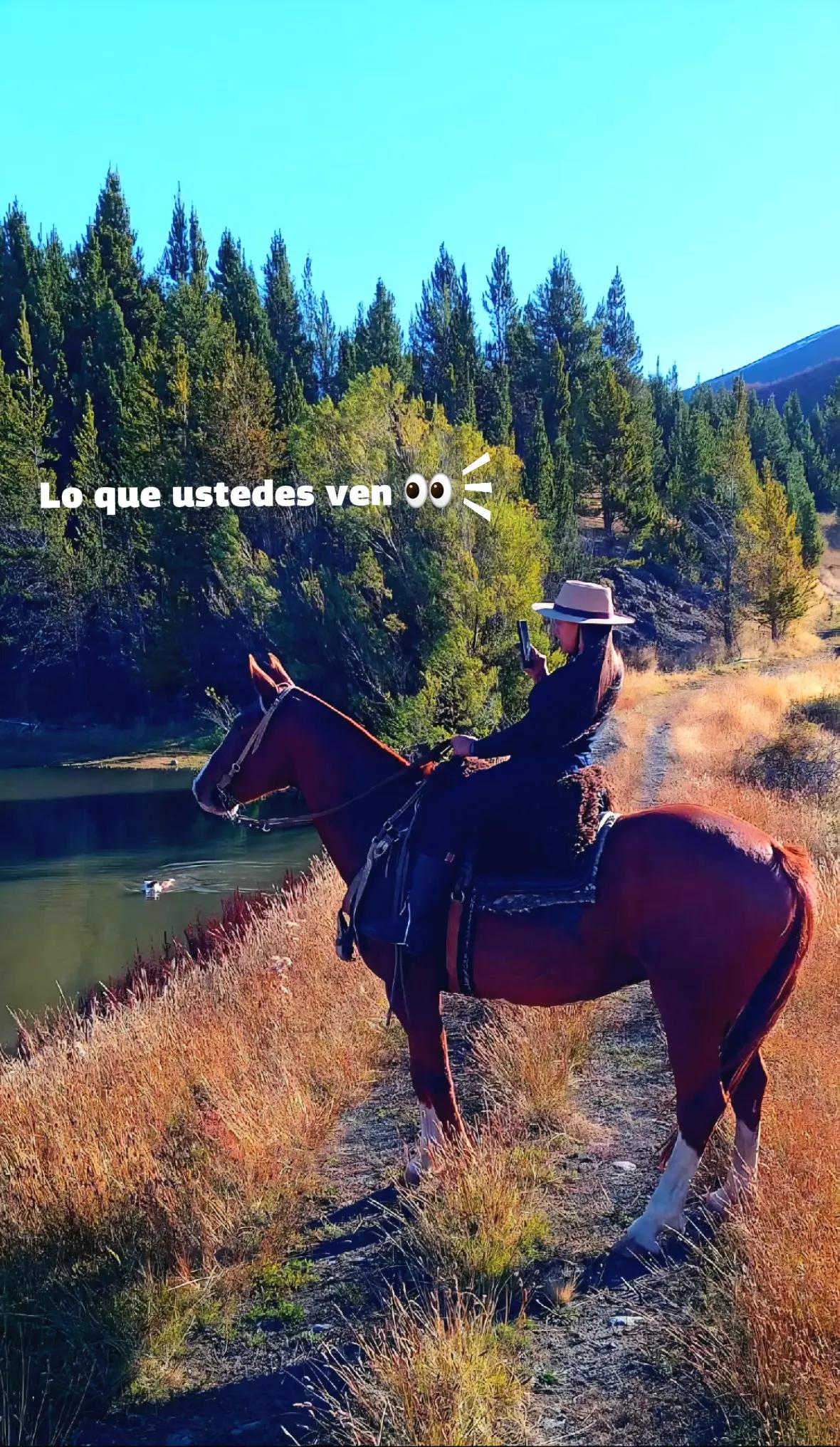 @Paisa 🐴
