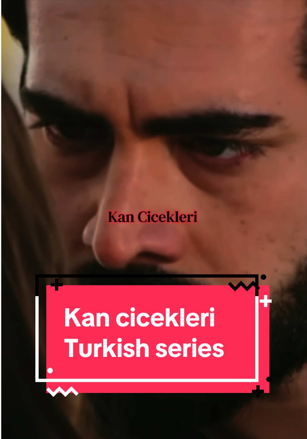 @Feliciaturkdizi