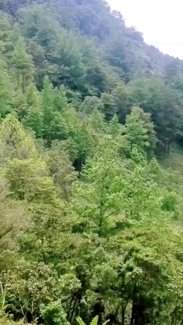 @MR. DEATH🔹