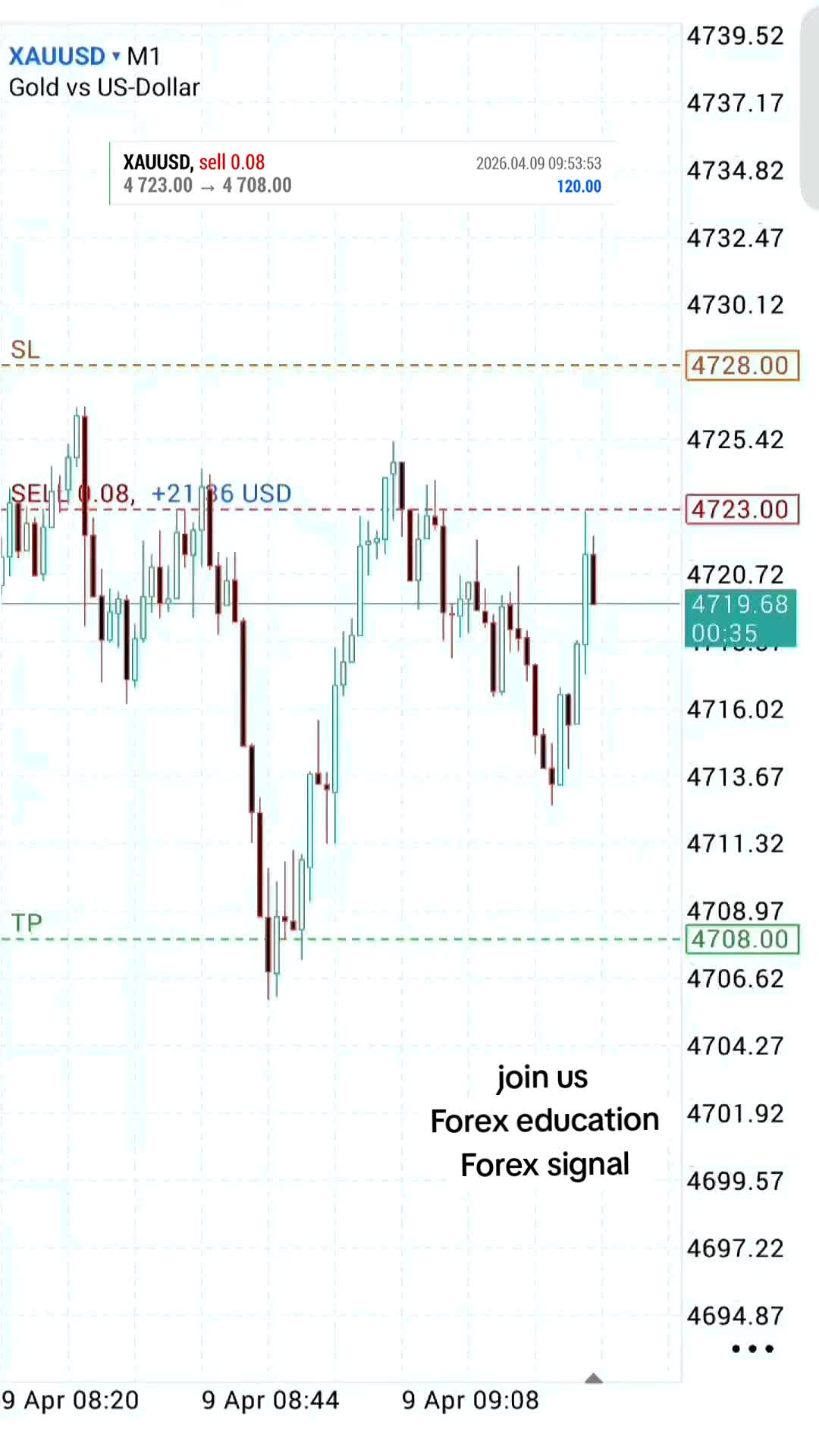 @tradewavefx7