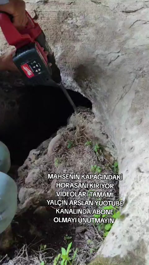 @YAL&Ccedil;IN ARSLAN