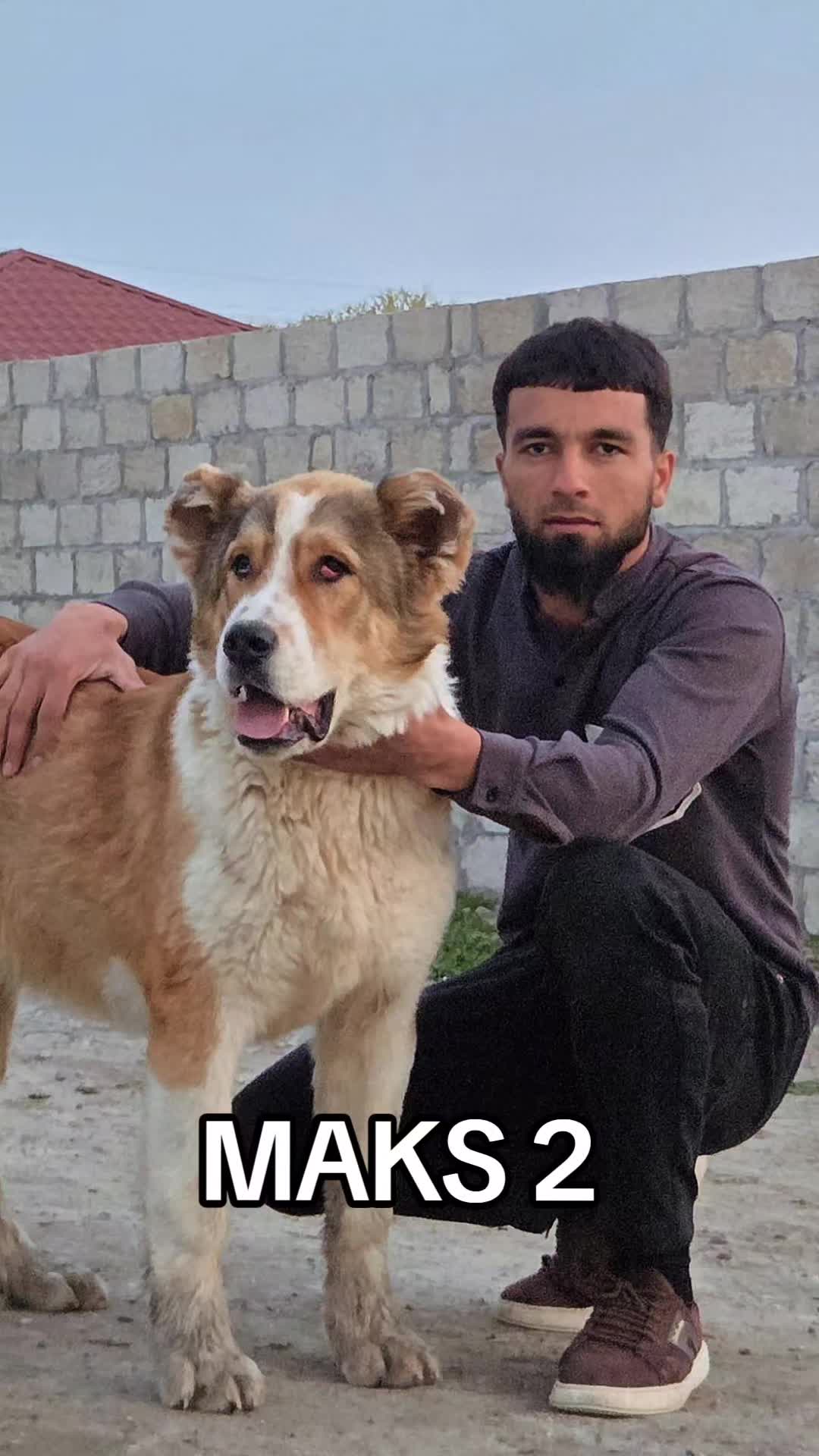 @Elşad__007