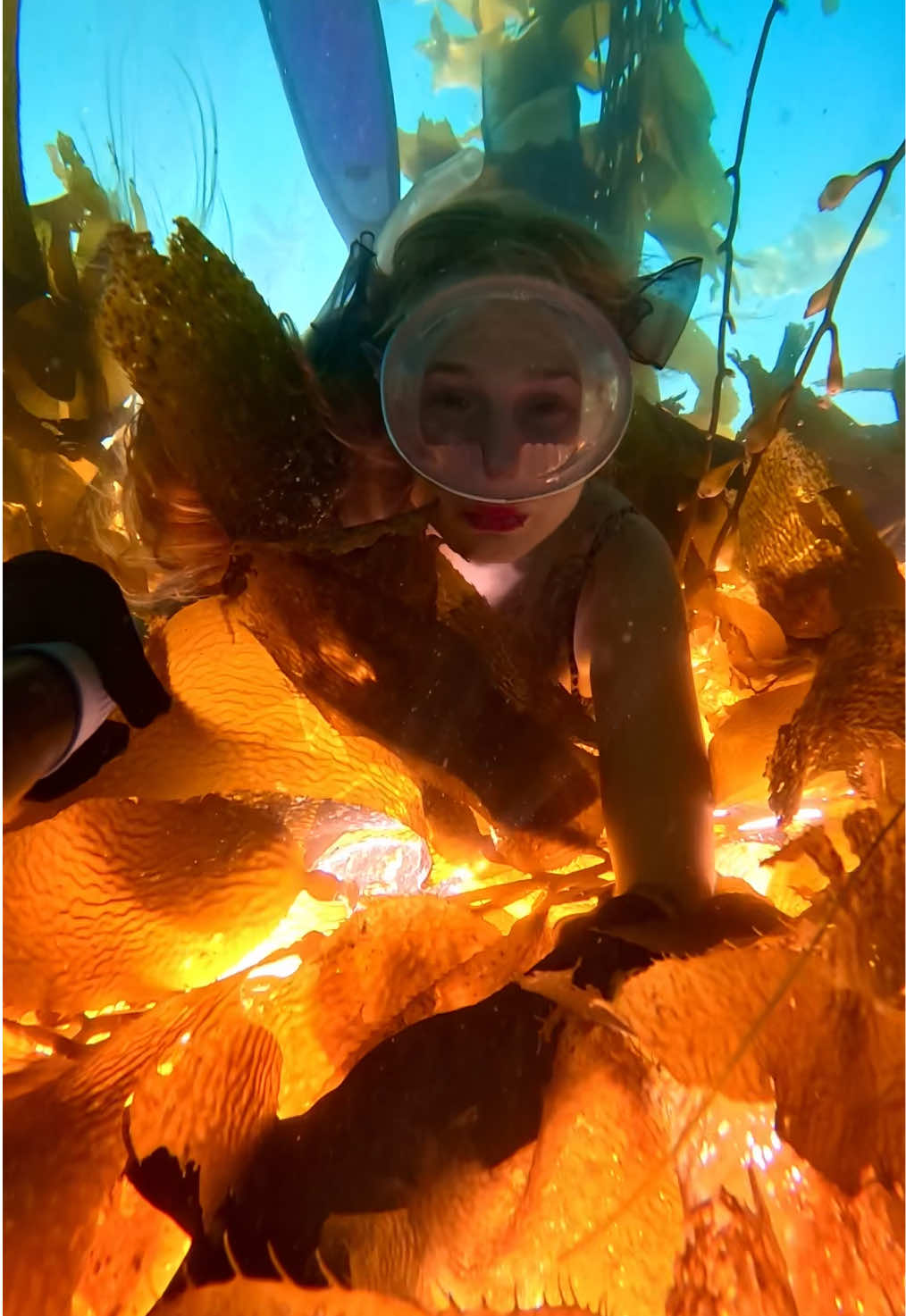 @Coralia Dives 🧜&zwj;♀️