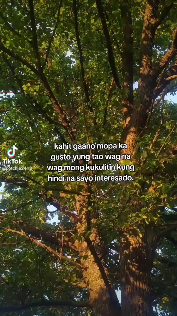 @MJ dalos santos