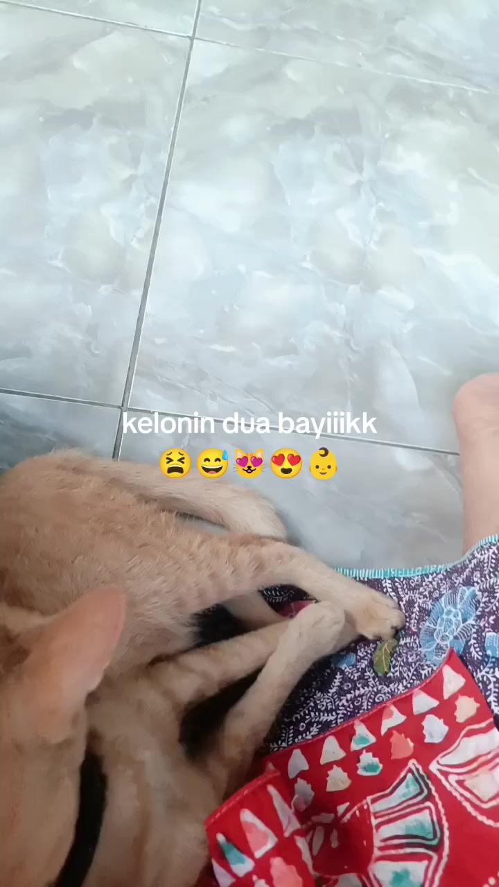 @Octa_Lee🐰