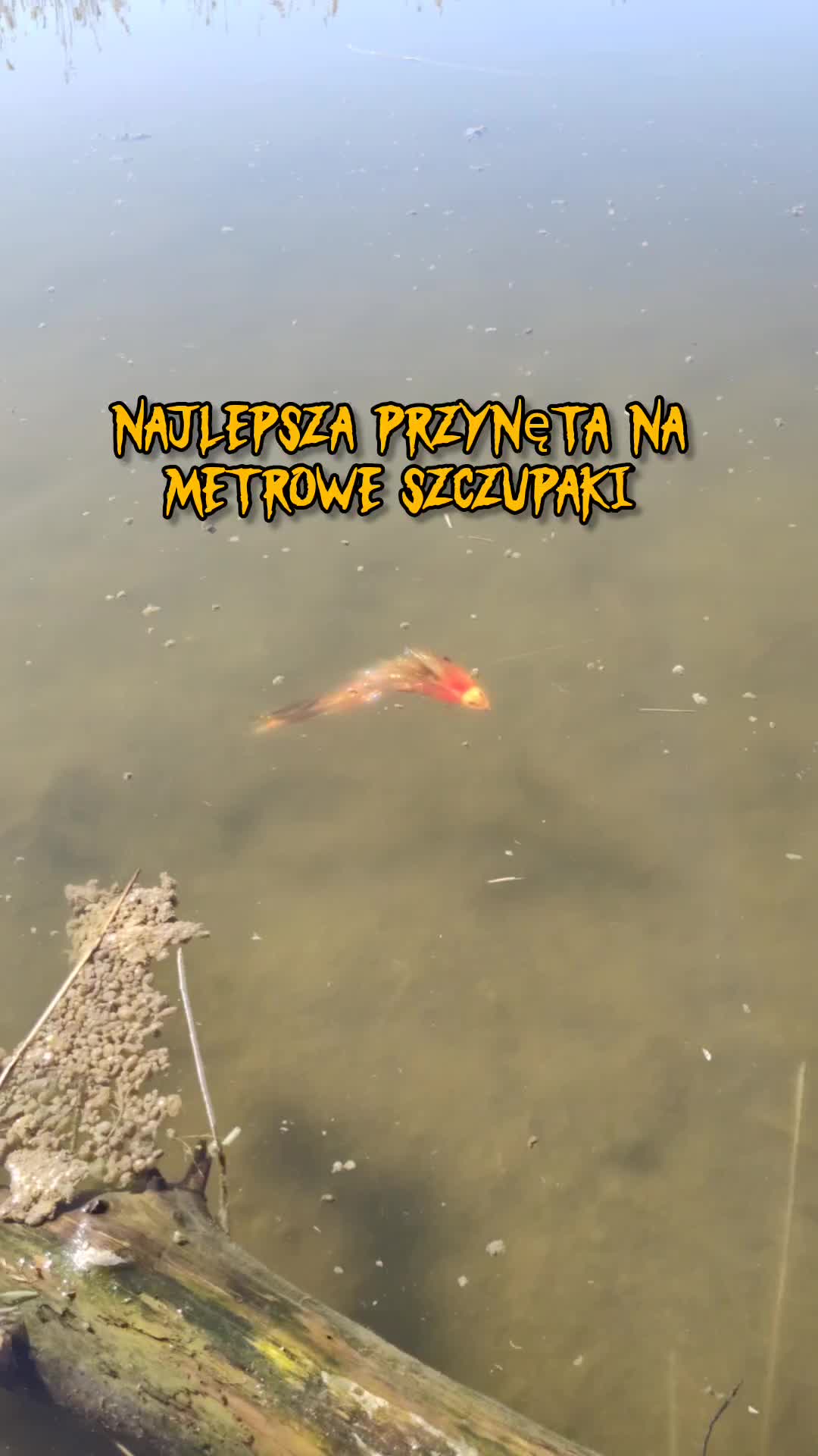 @mfly_lures