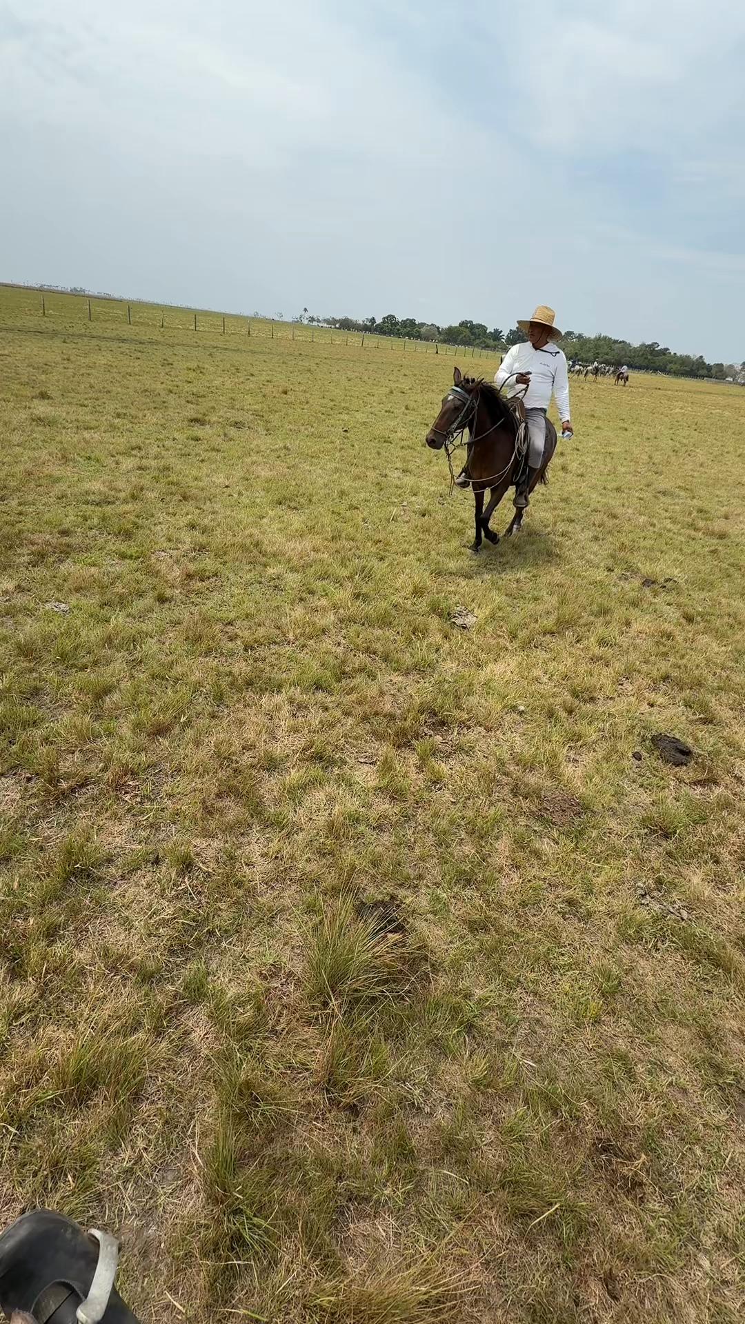 @🍃🐴👑🎶 CASANARE🍃🌷✨