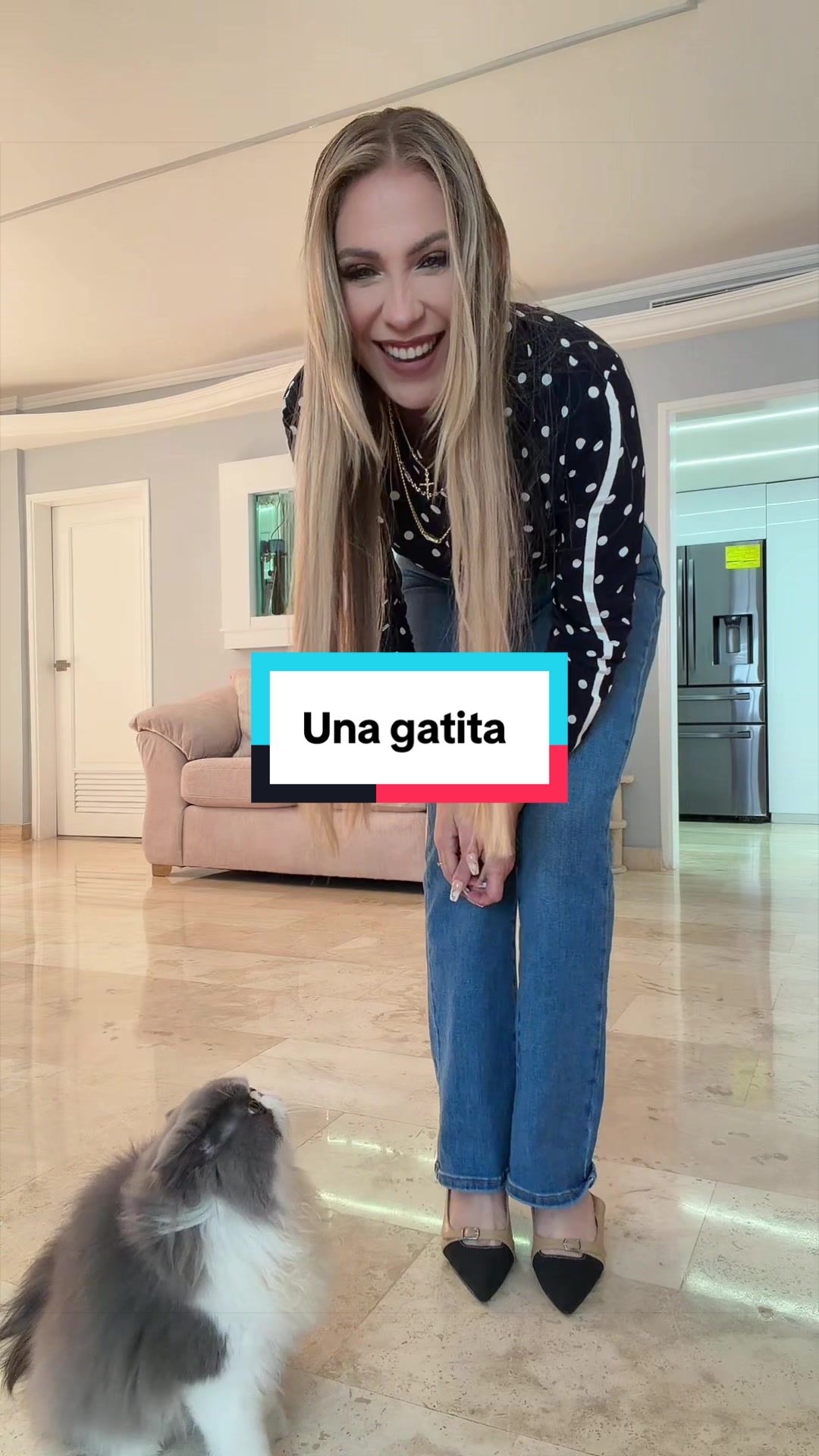 @Lamusasa
