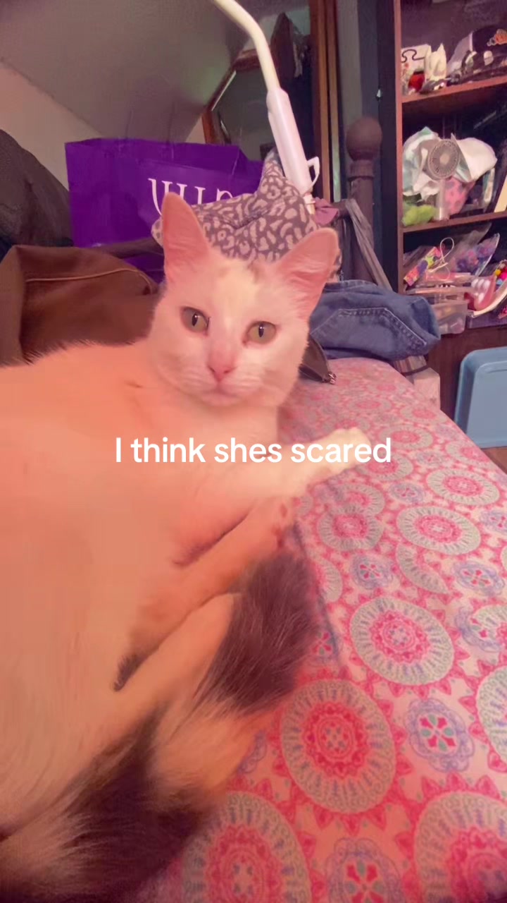 @️