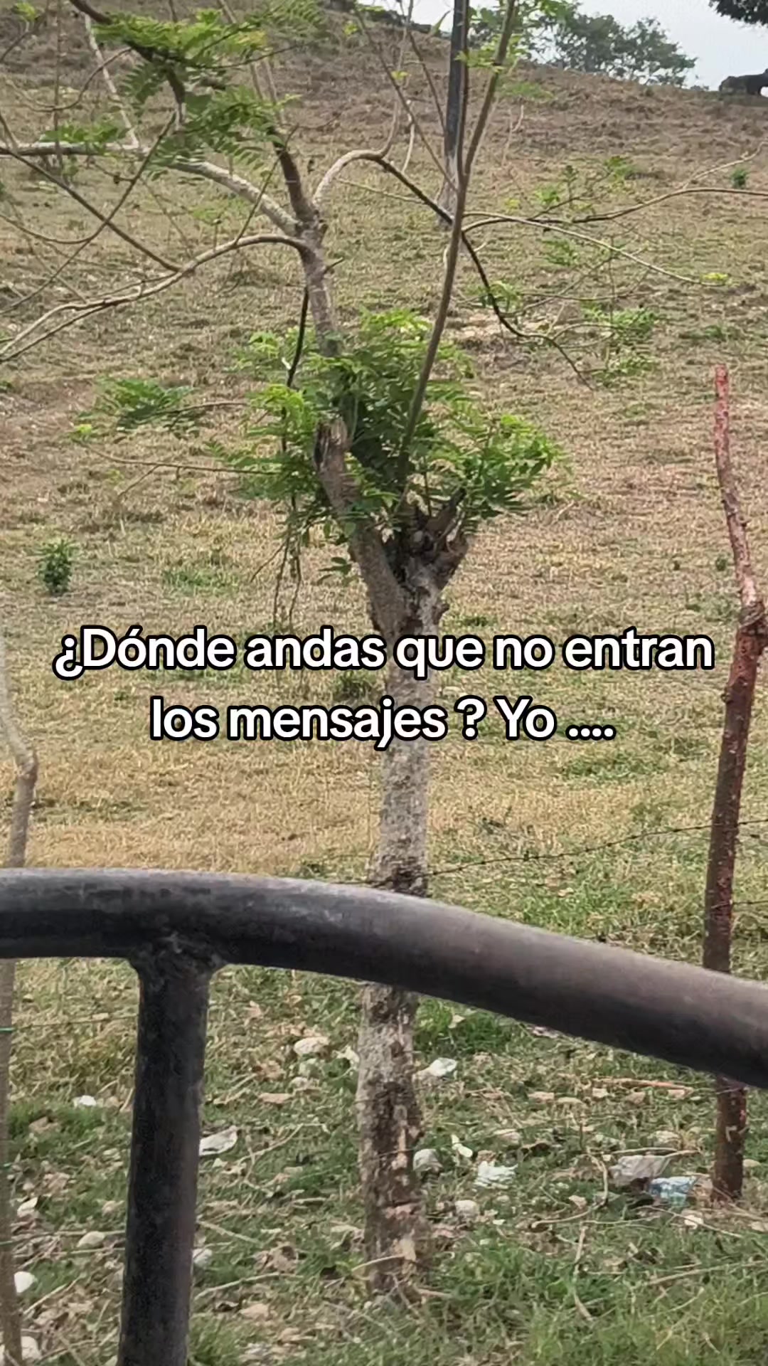 @Gisela Lucas Cortes