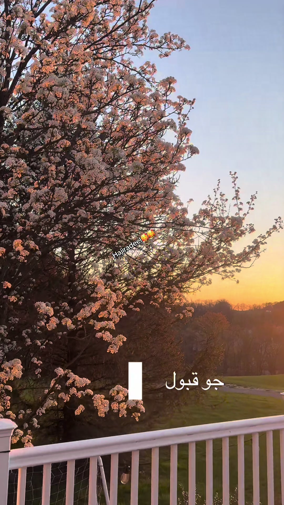 @Hajiradeel👩&zwj;⚕️