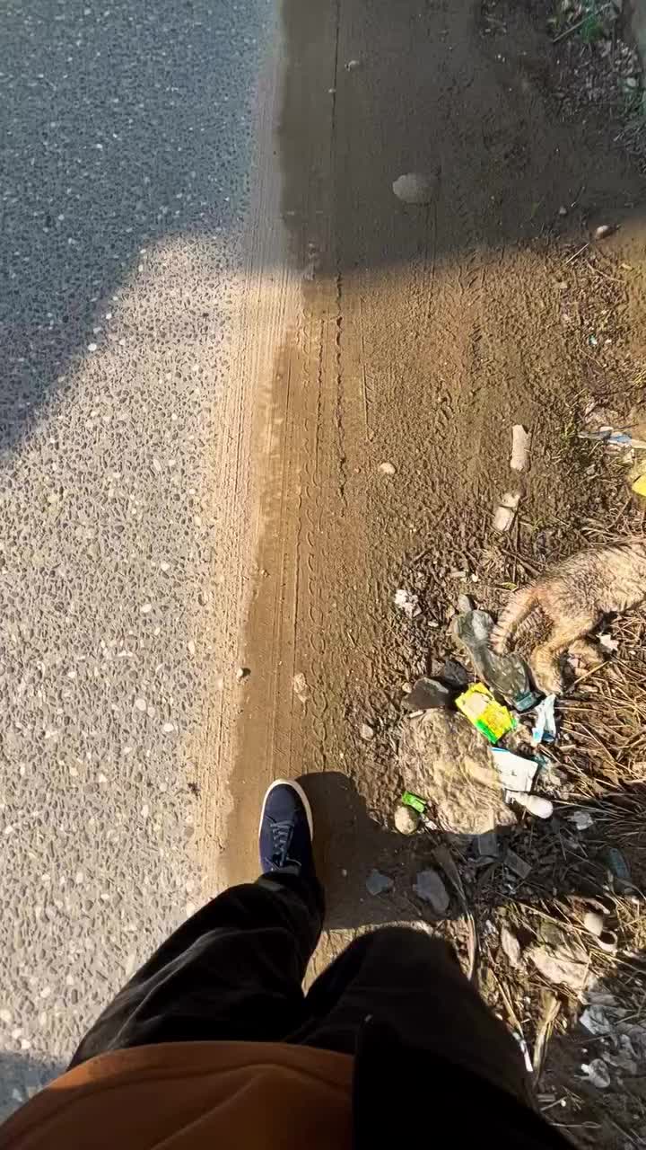 @artik.77