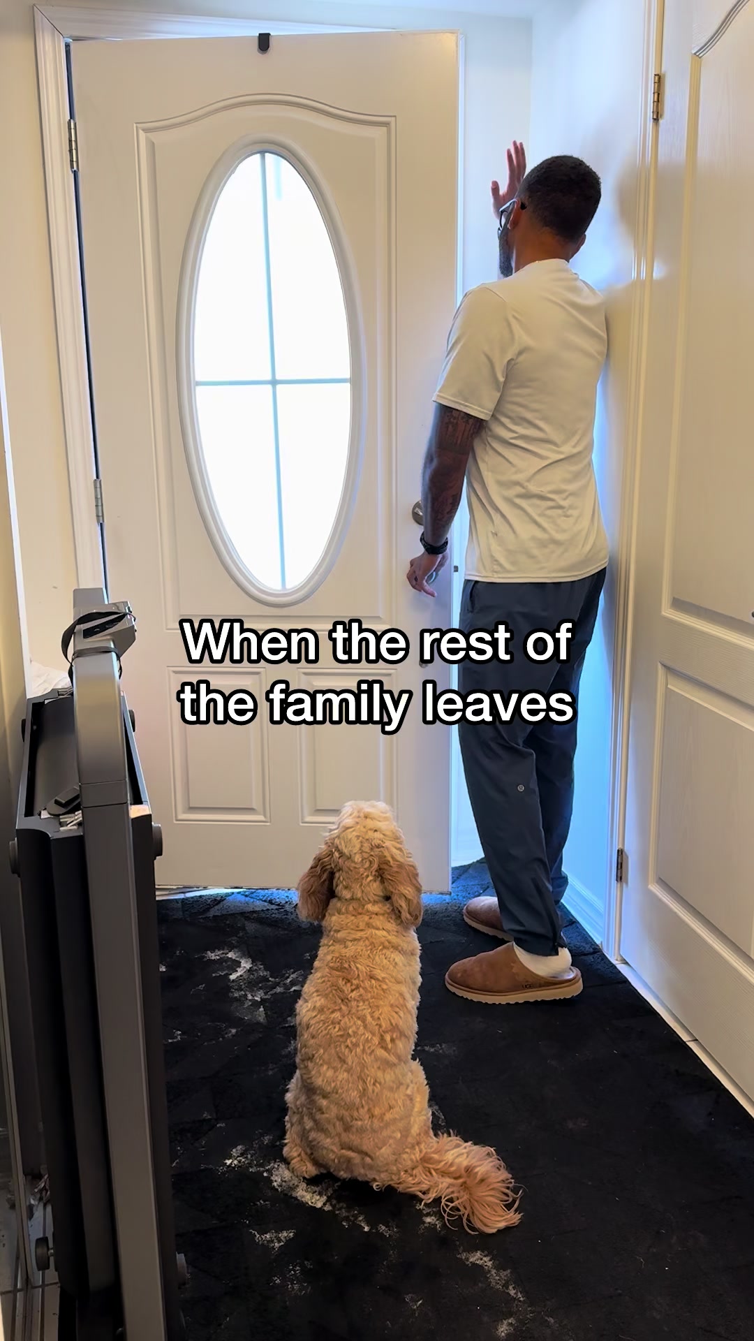 @LunaTheMiniCockapoo