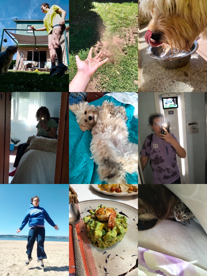 @perritos.lindos