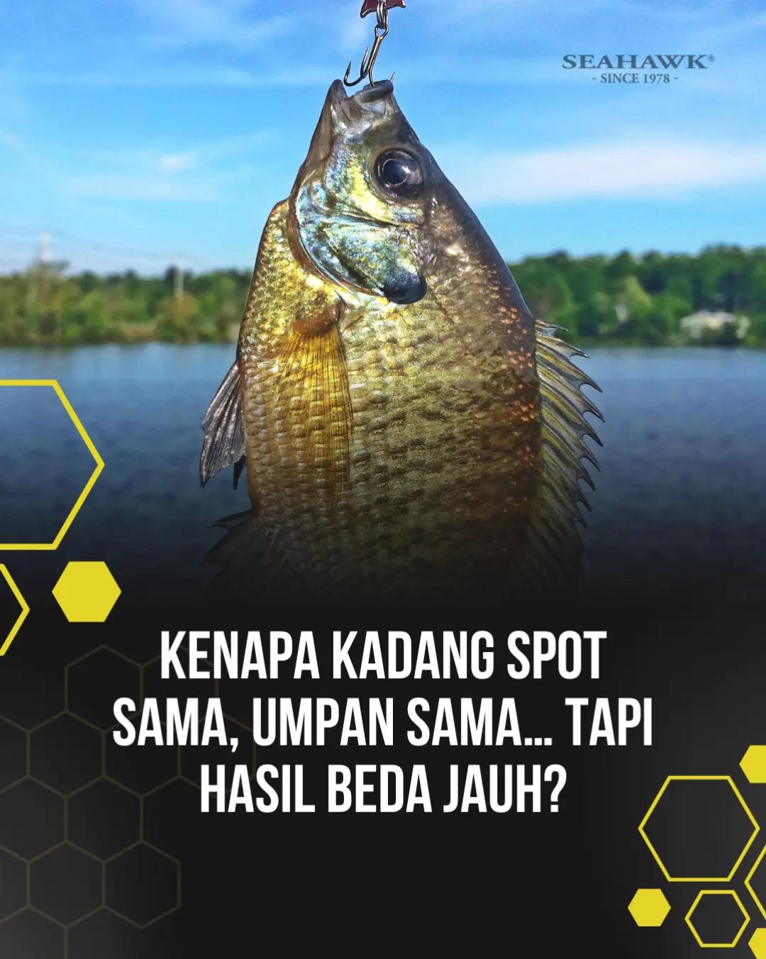 @Teamseahawkindonesia