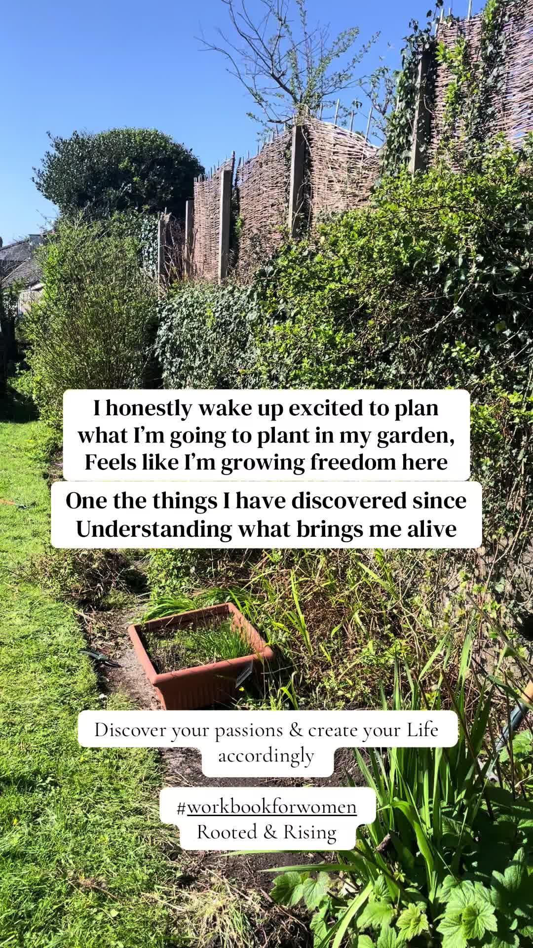 @holisticrebel