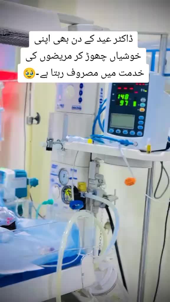 @𝕂𝕠𝕜𝕠 𝕍𝕖𝕖𝕣960