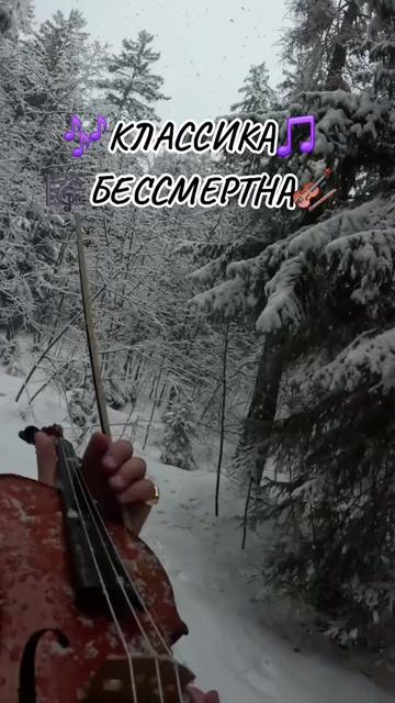 @🇷🇺Альбина(Albina)🇷🇺🌍🕊