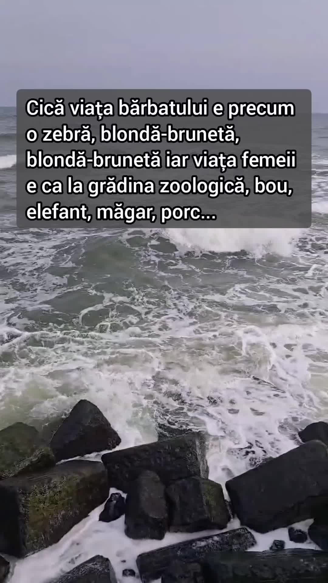@ALIN