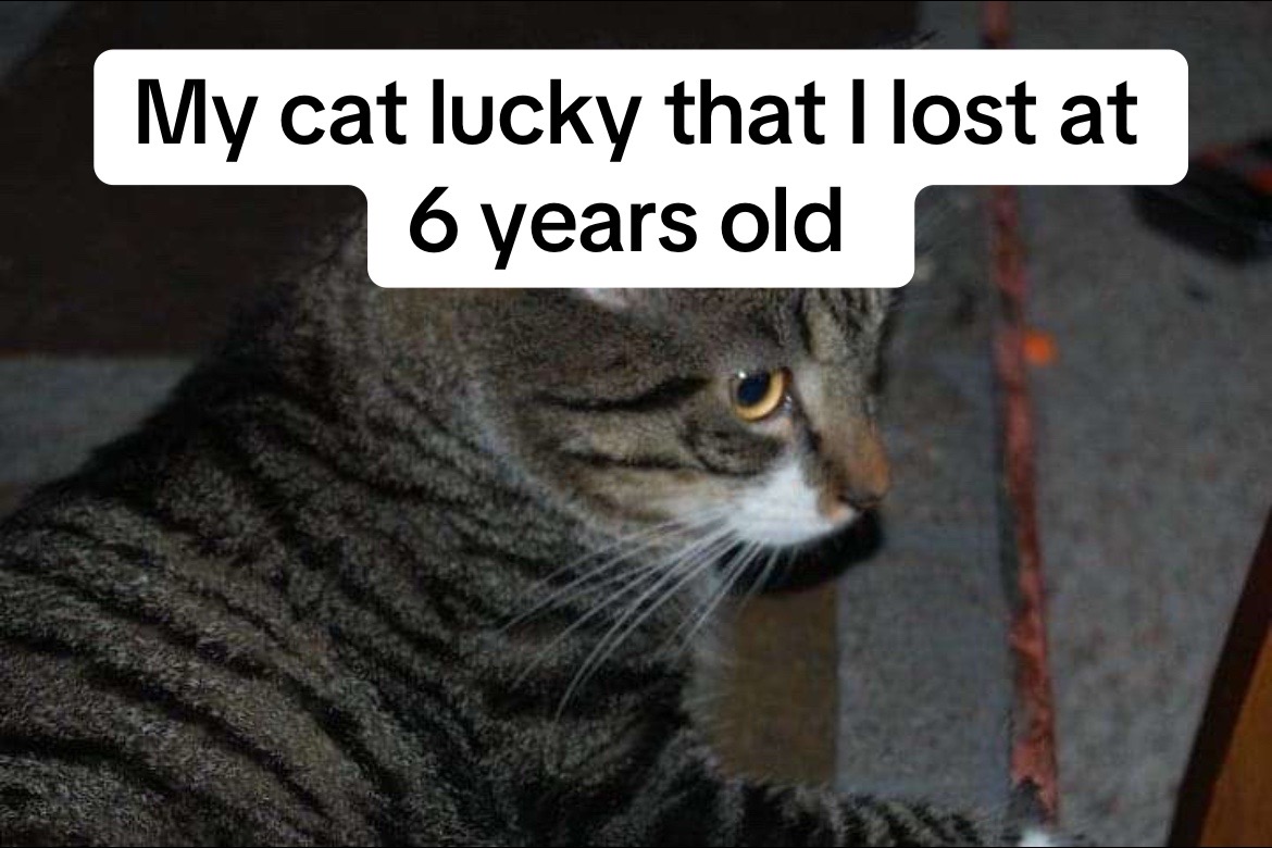 @Emily Pou