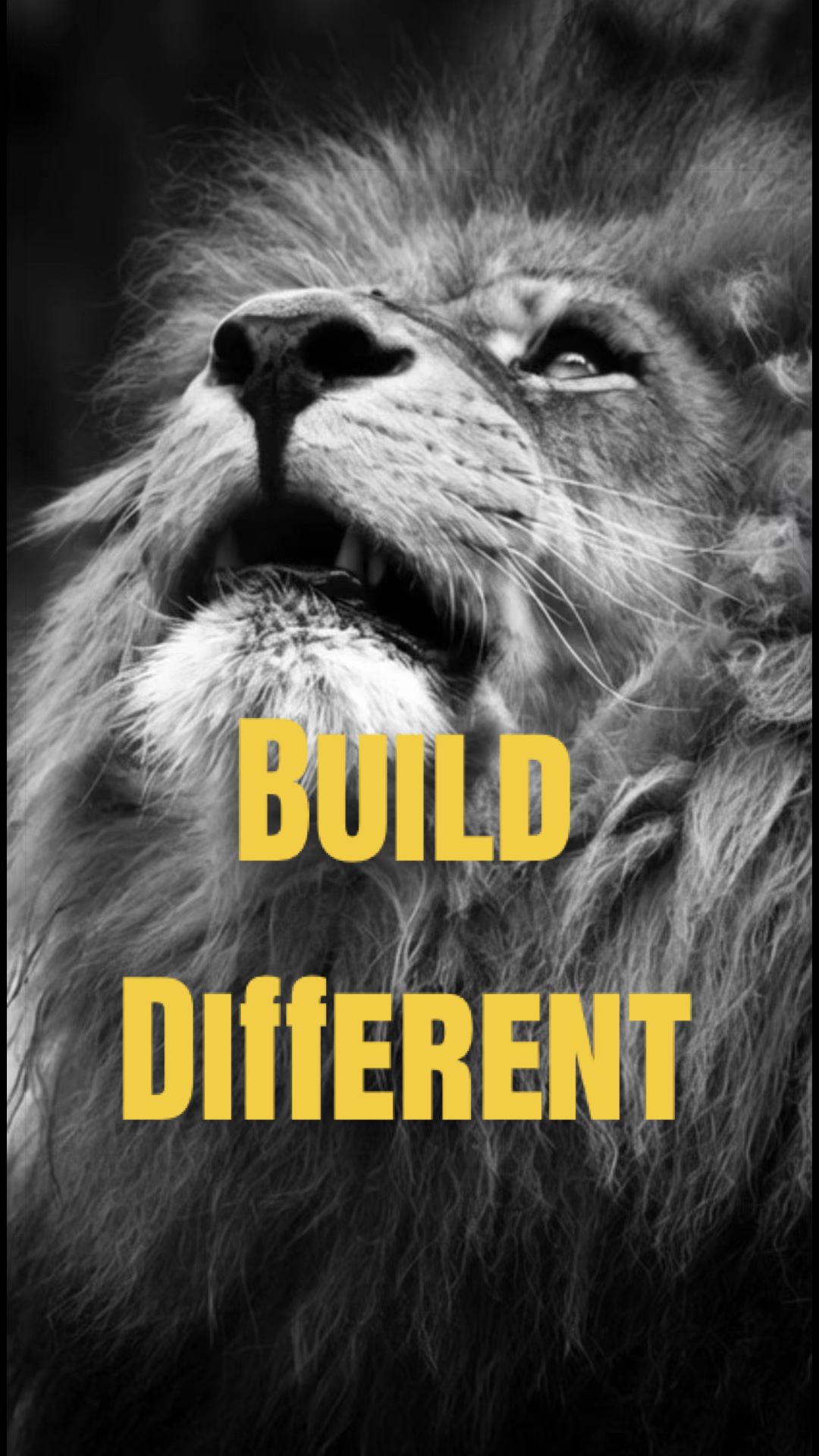 @Rise.and.dominate