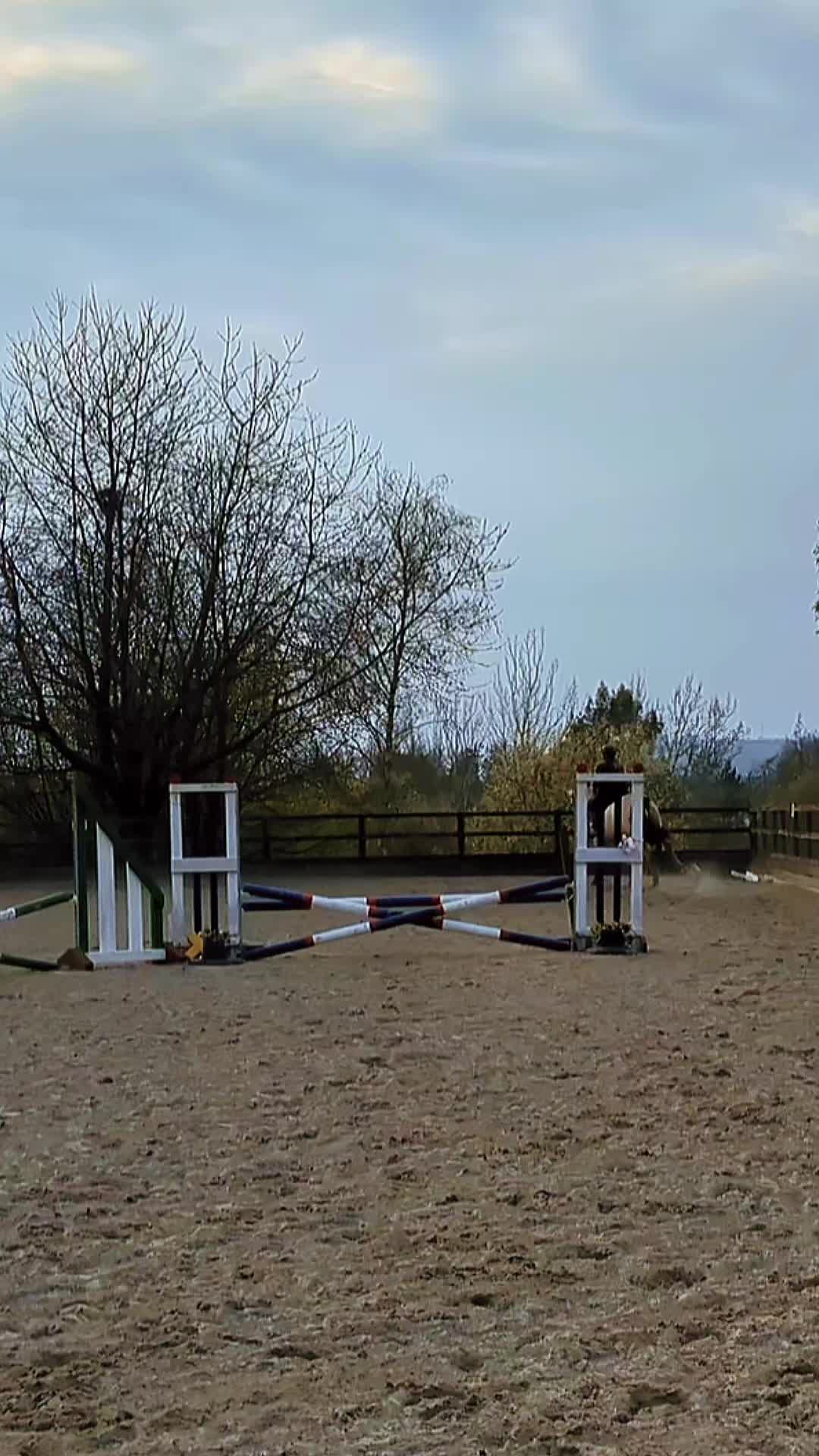@ZB Equestrian