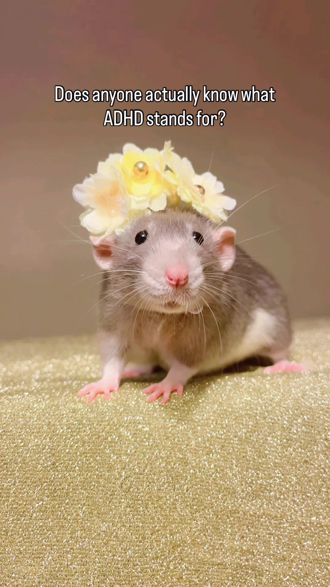 @RatsHaveFeelingsToo