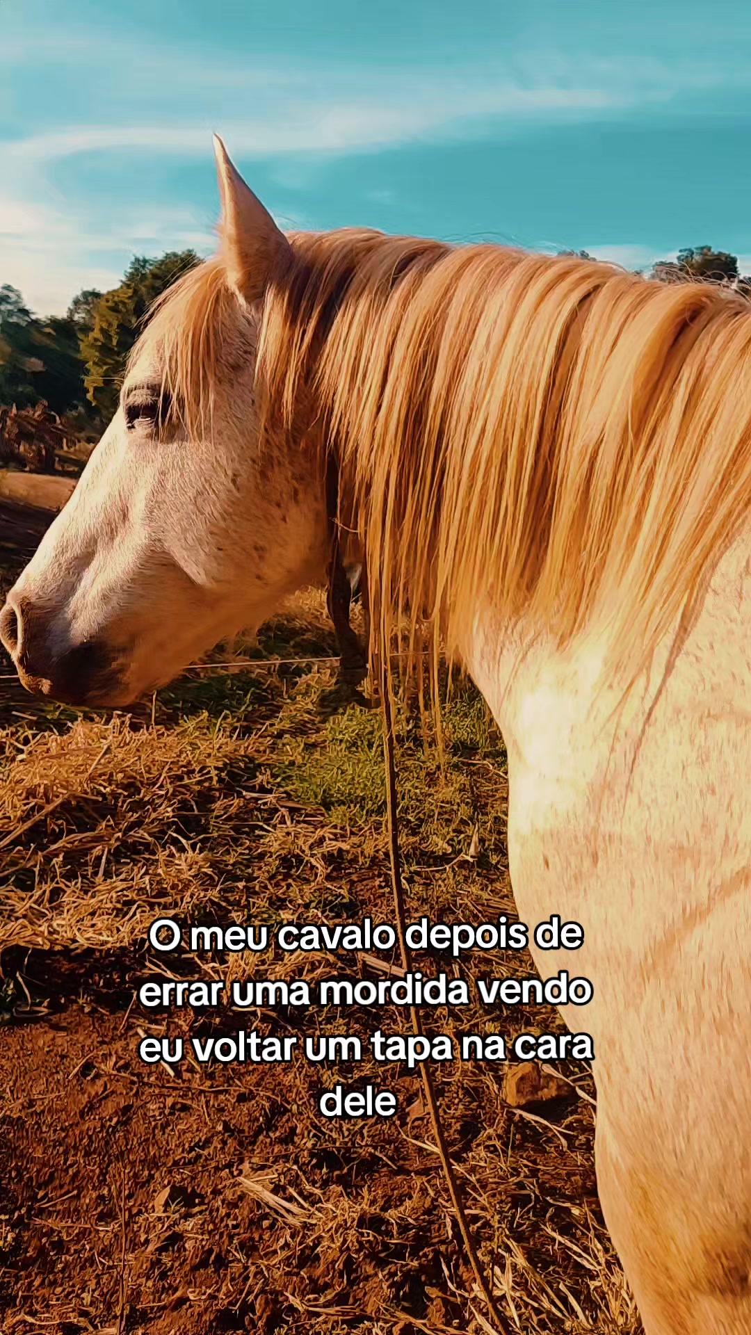 @𝐺𝒶𝓊𝒸𝒽𝒾𝓃𝒽𝒶❤️.