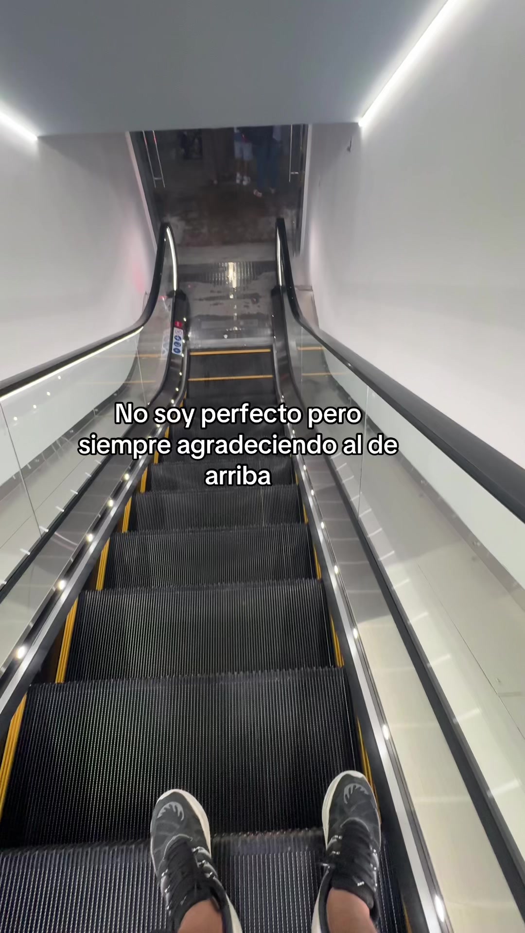 @JosueOlivares 🦍