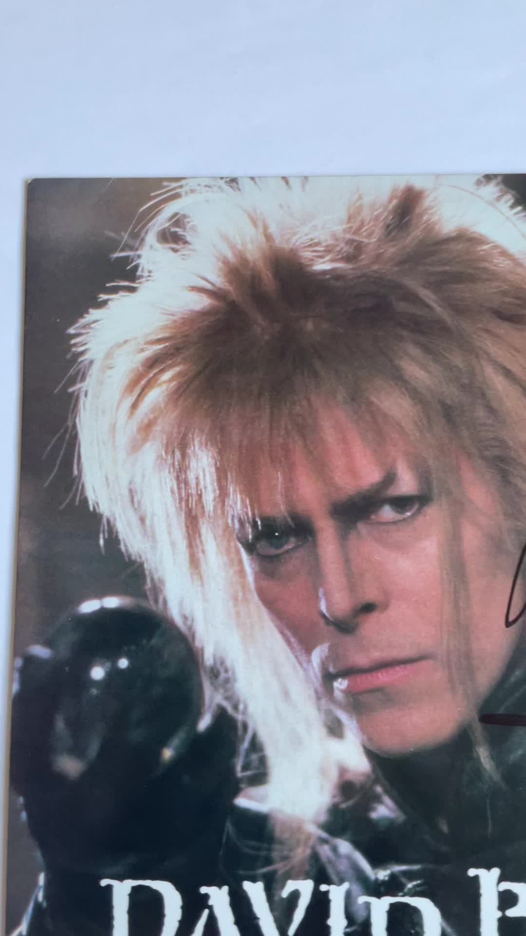 @DavidBowieGlamour Fan Account