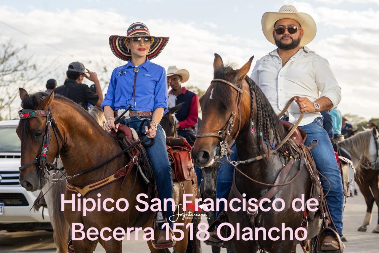@Caballo loco 77