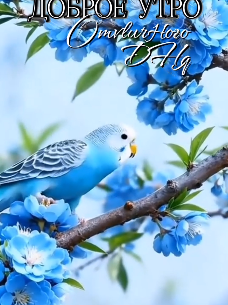 @💐