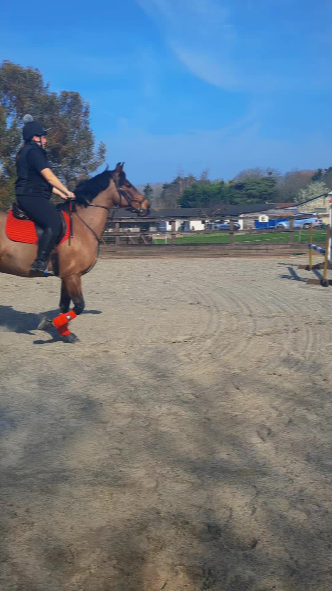 @ZB Equestrian