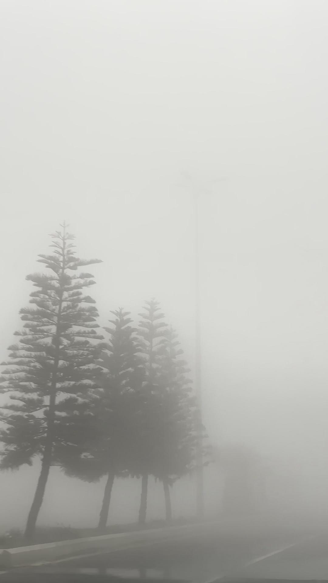 @أفنان.،🌿
