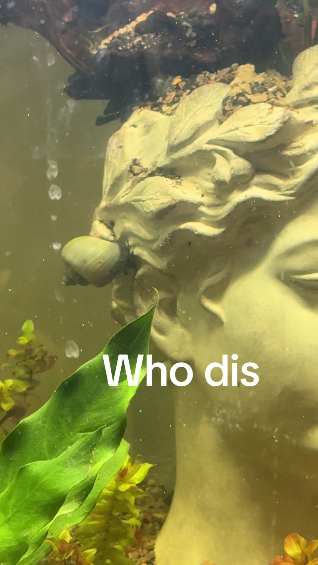 @e.paquette
