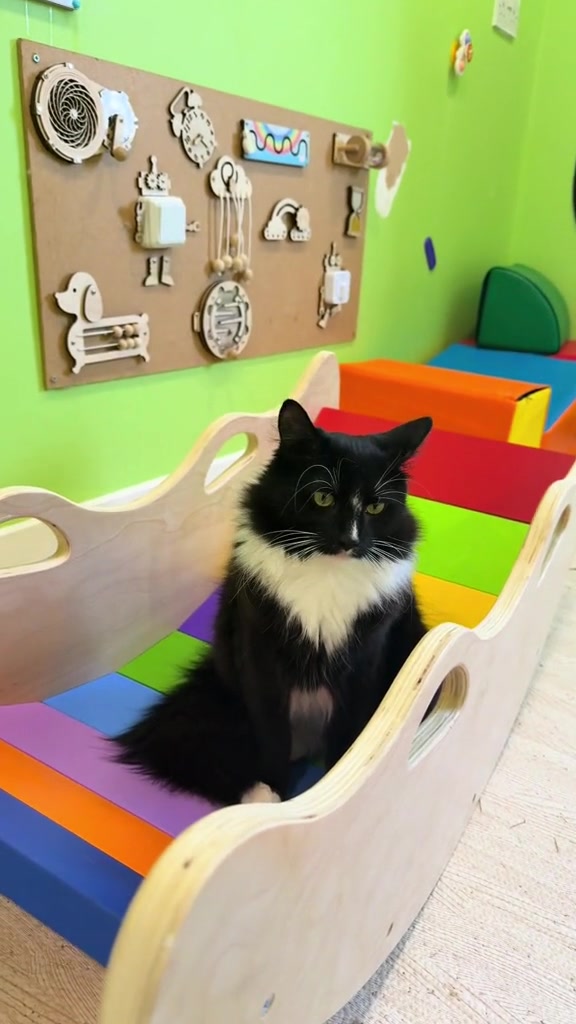 @Purrfect Café