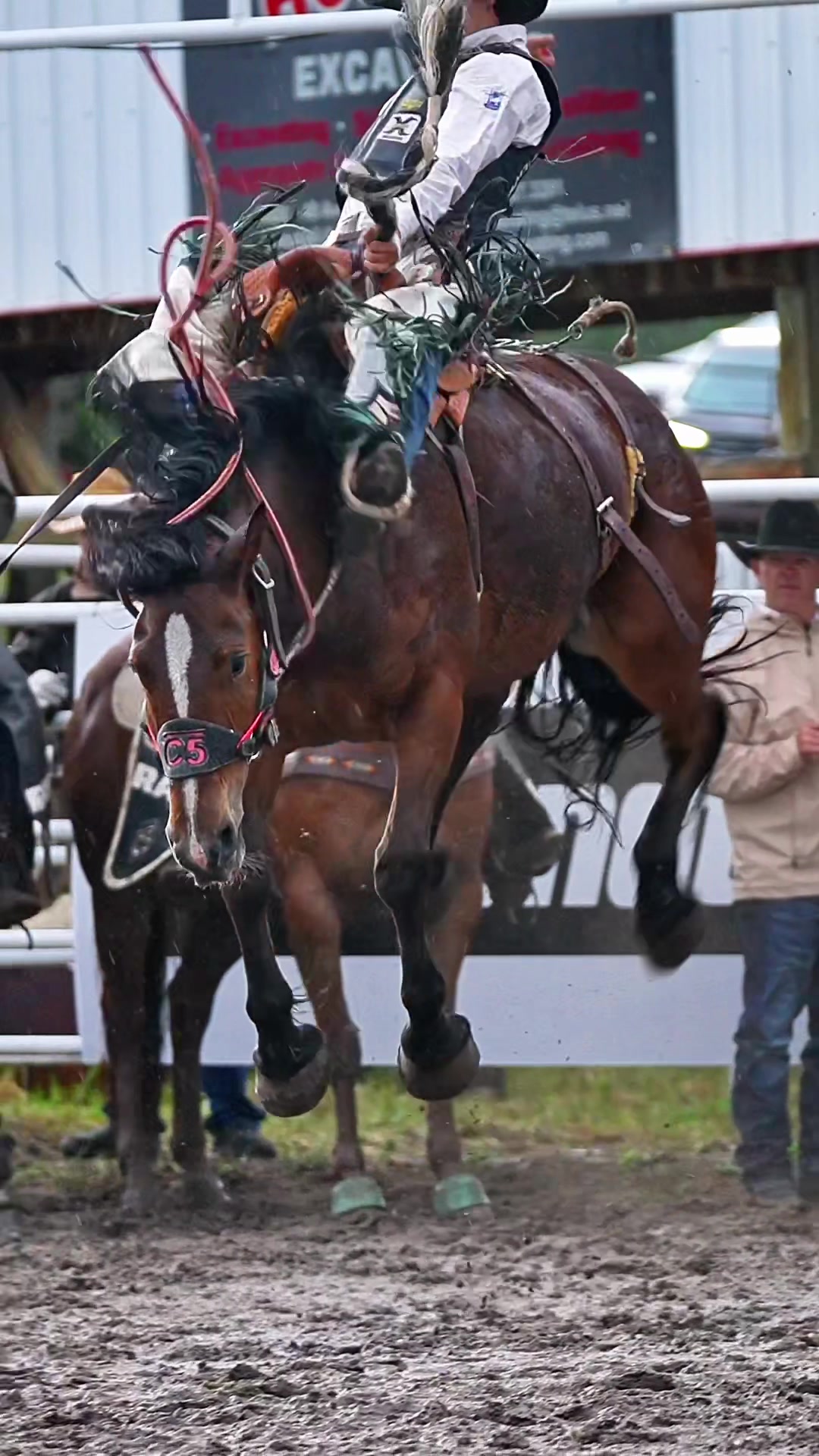 @Hanginghorses