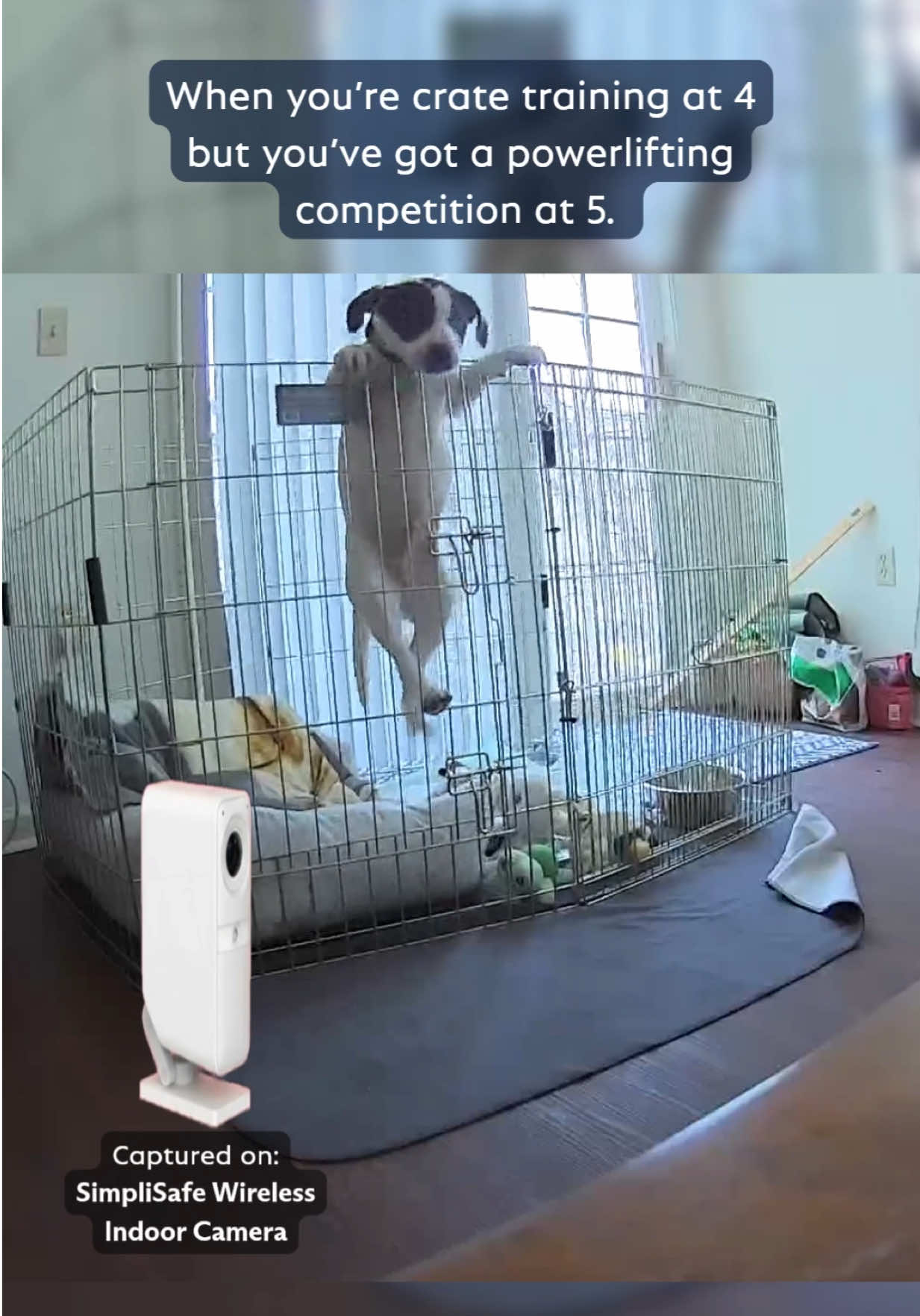 @SimpliSafe Home Security