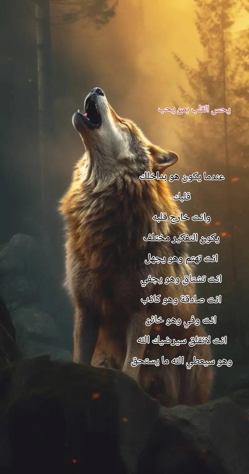@امير الحازمي