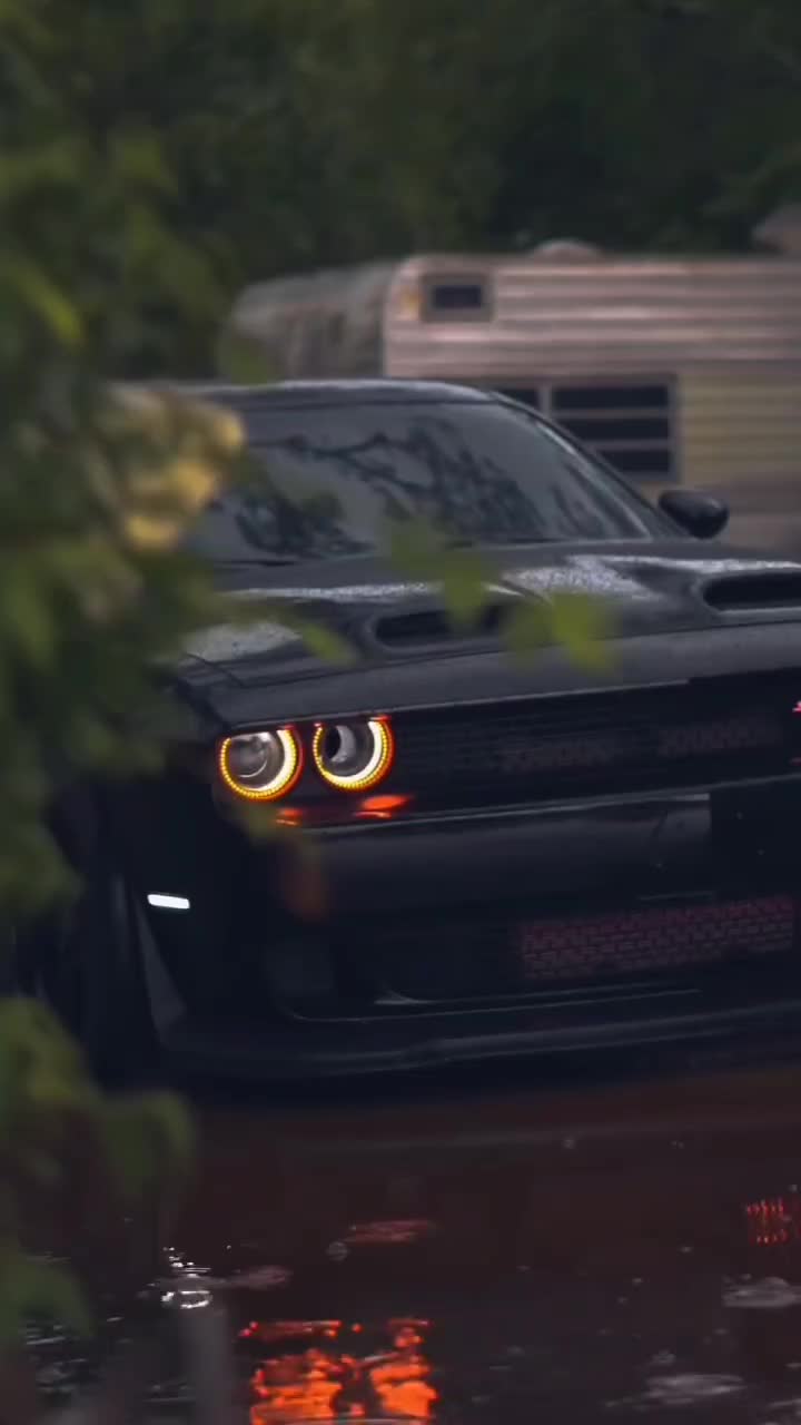 @zaynegreen2