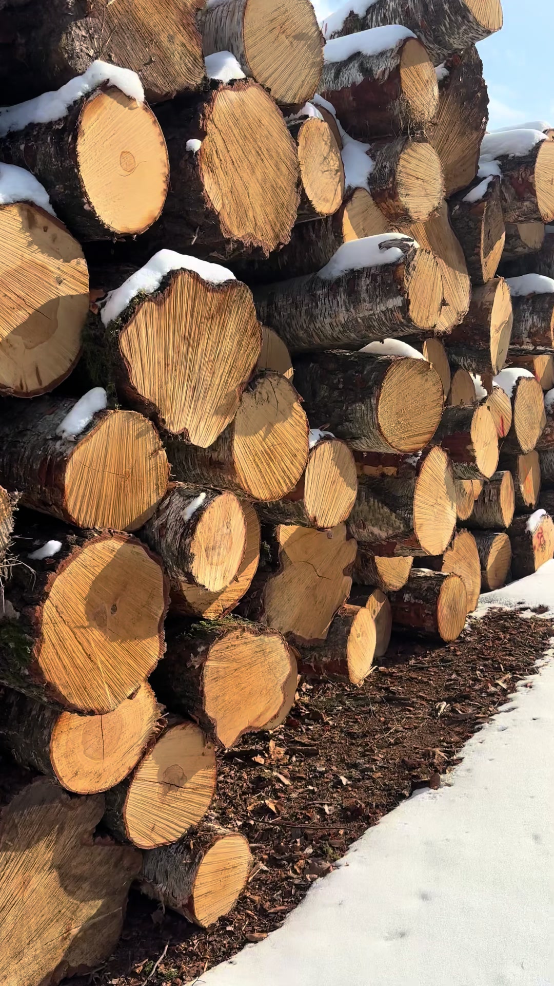 @Laub Wood