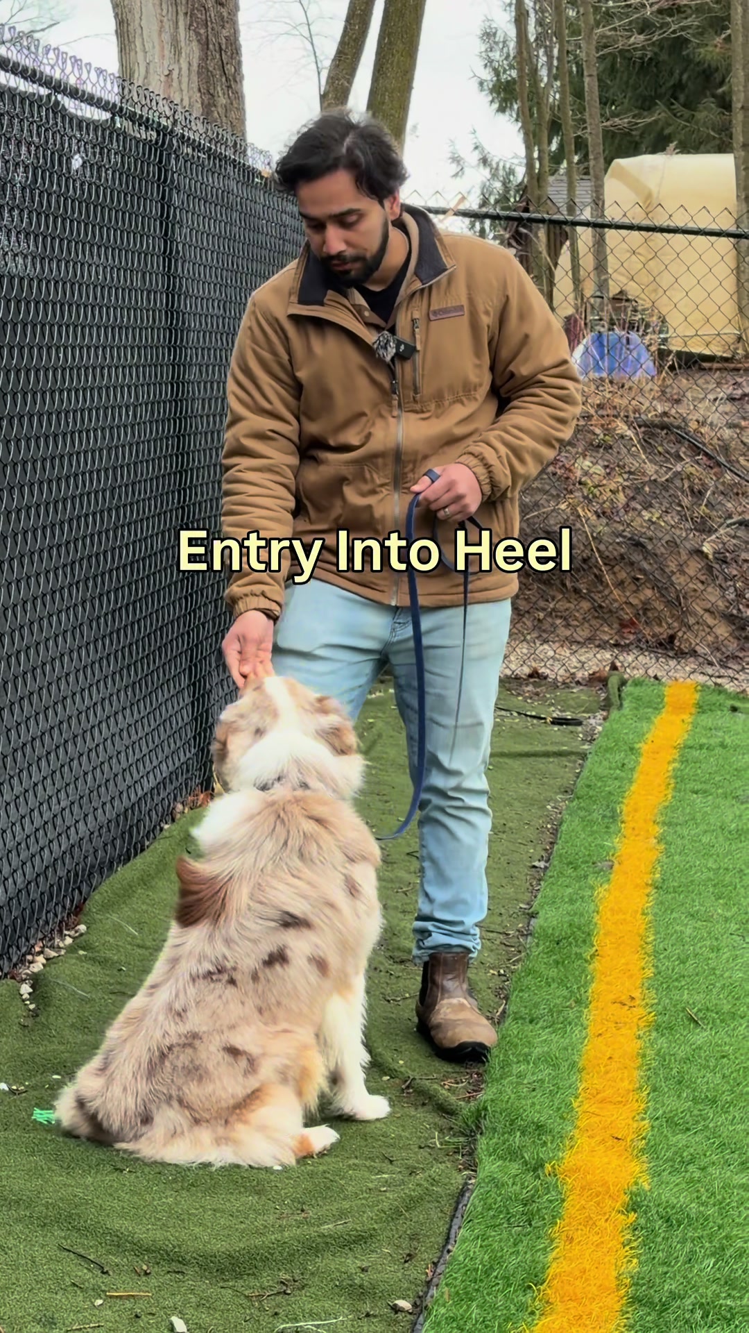 @Noble K9