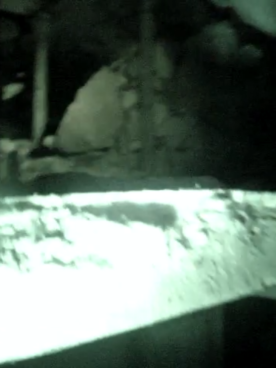 @Туманная поляна
