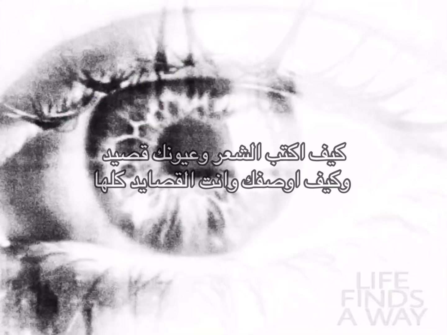 @رحلت ؟