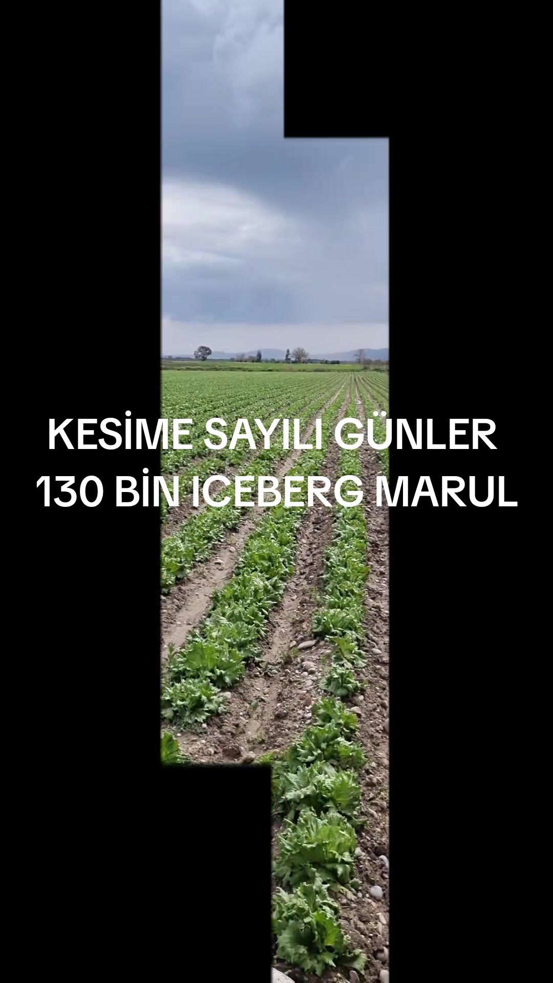 @ZİR.M&Uuml;H.BERKAN KILIN&Ccedil;