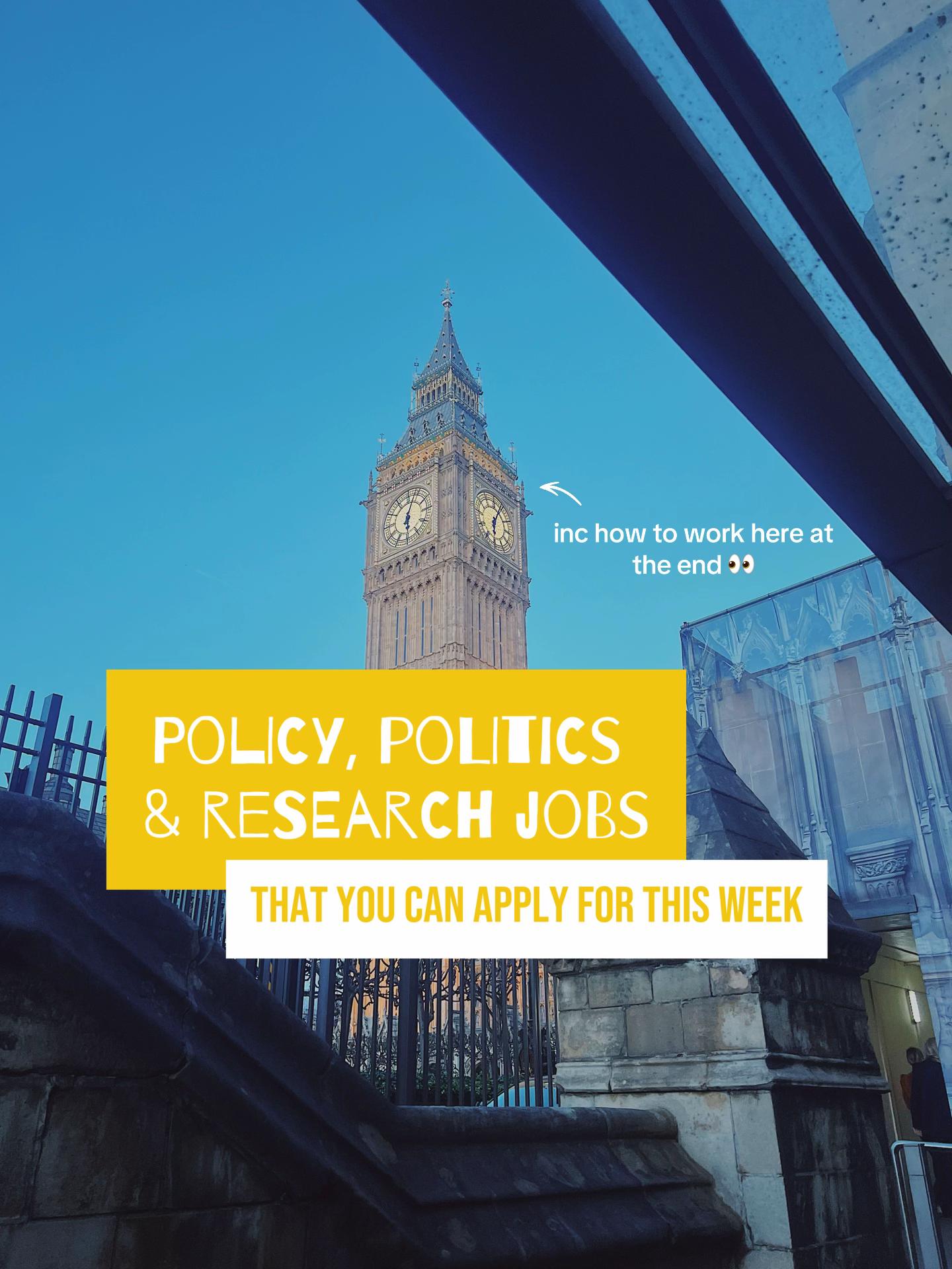 @dani | education & politics