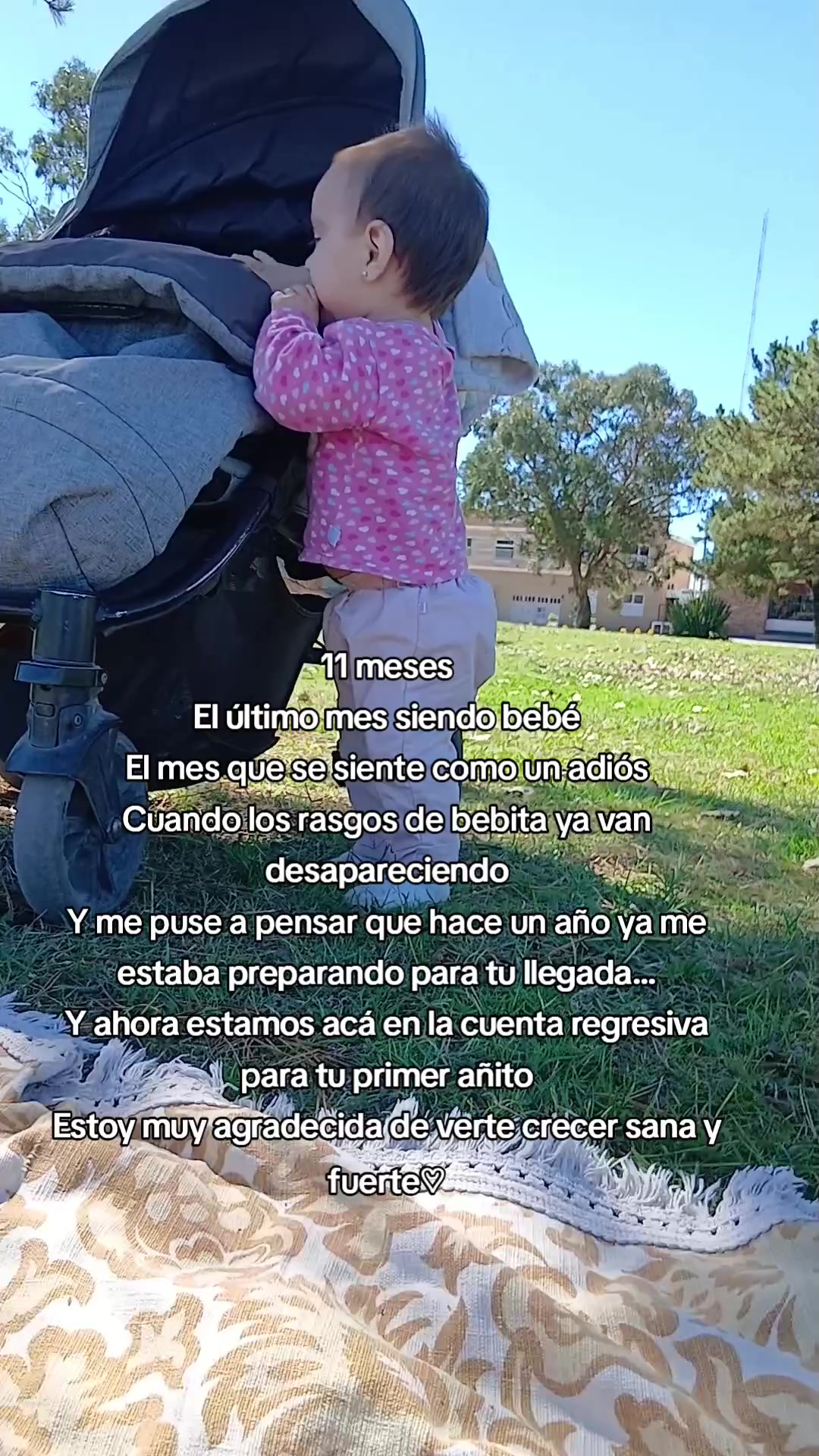 @labbtoxic