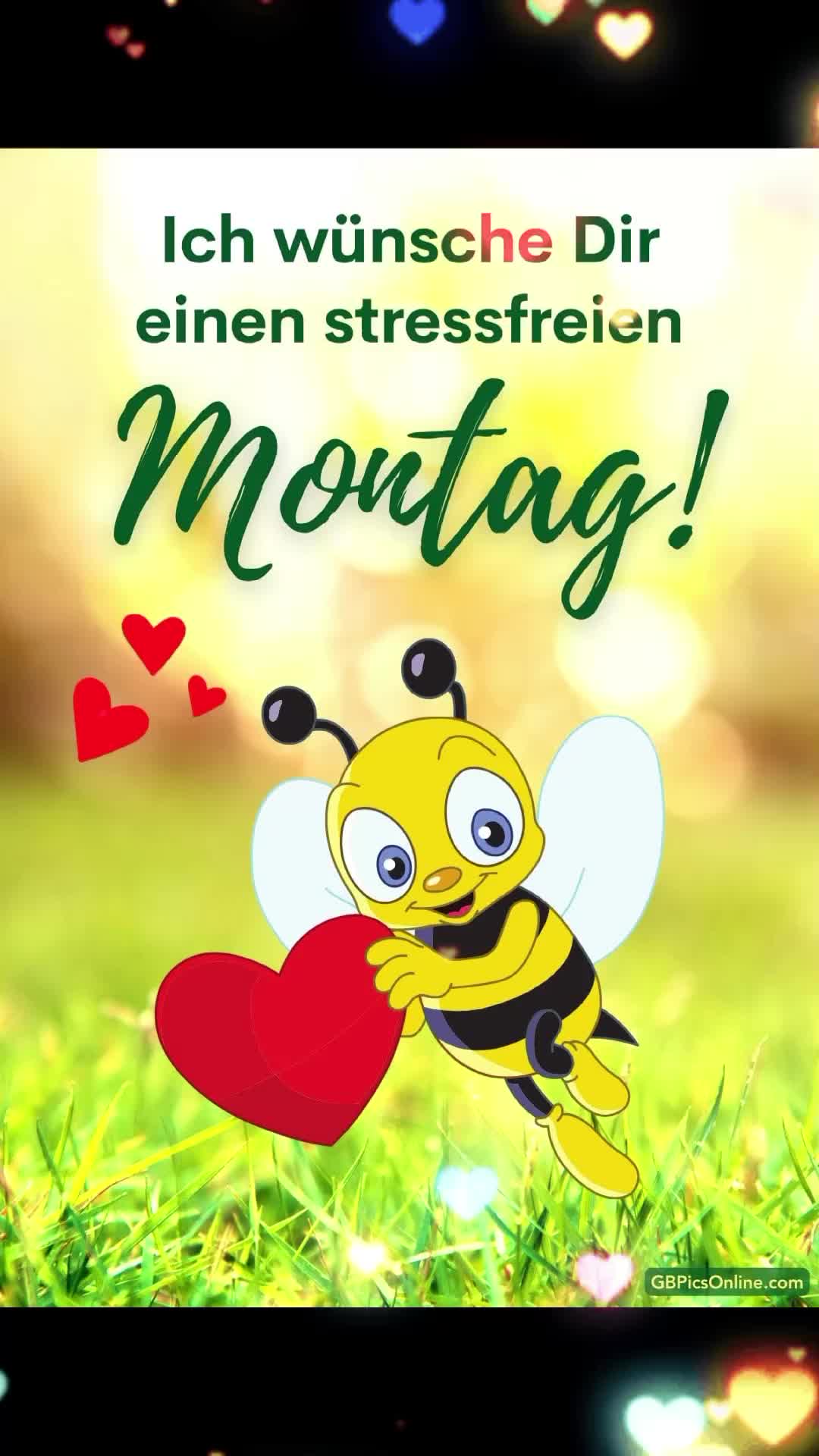 @SchlagerGilla